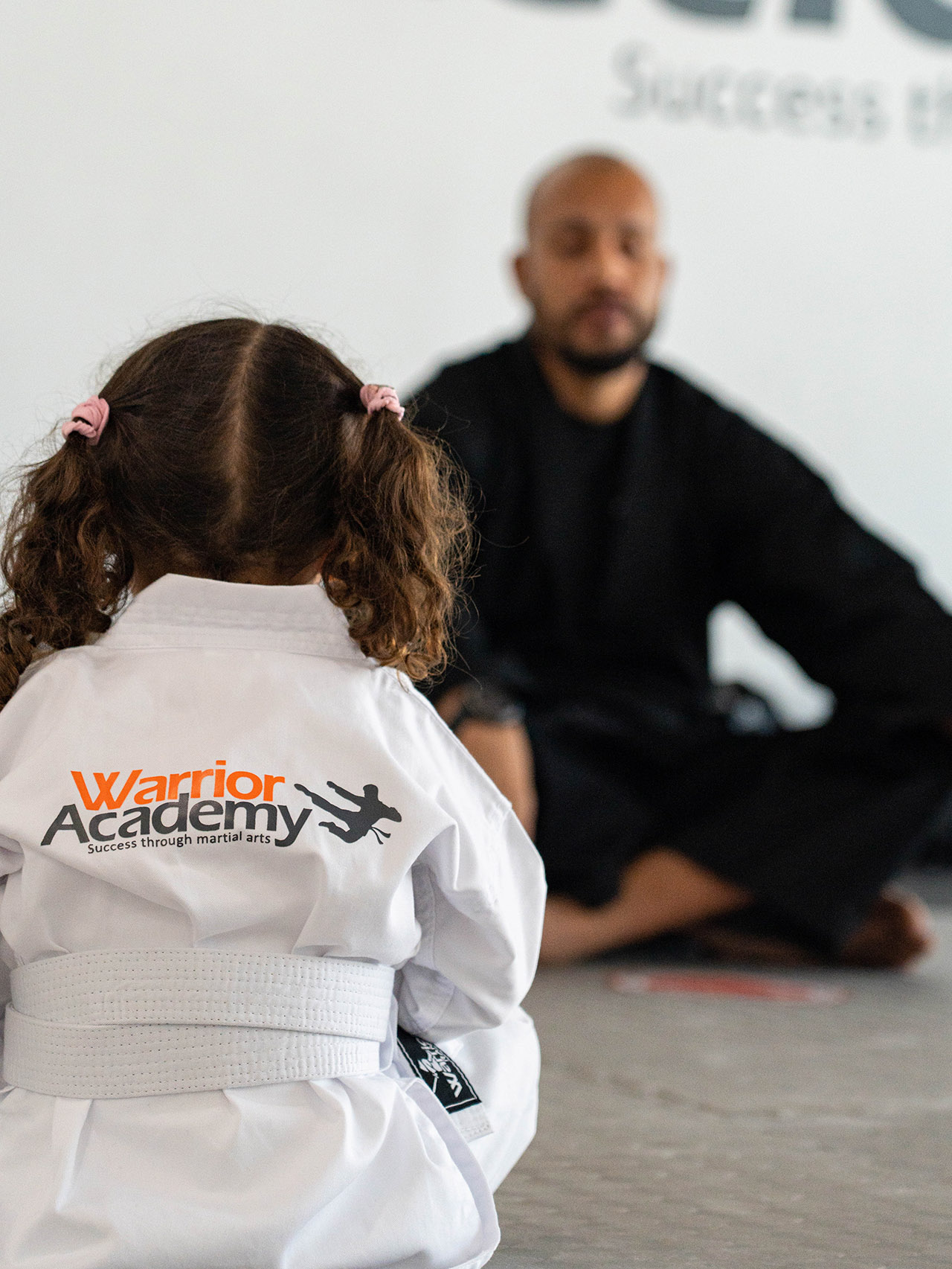 learn martial arts online