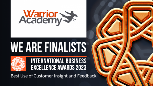 International Business Excellence Awards - Best Use of Customer Insights & Feedback - Finalist